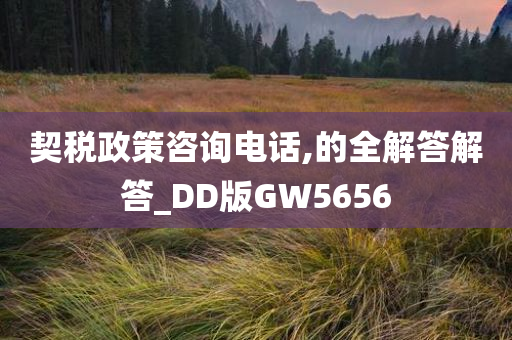 契税政策咨询电话,的全解答解答_DD版GW5656