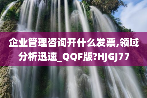 企业管理咨询开什么发票,领域分析迅速_QQF版?HJGJ77