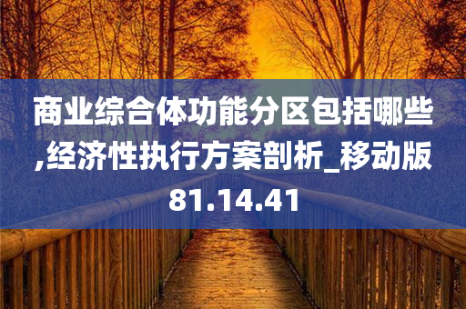 商业综合体功能分区包括哪些,经济性执行方案剖析_移动版81.14.41