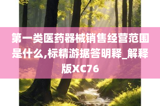 第一类医药器械销售经营范围是什么,标精游据答明释_解释版XC76