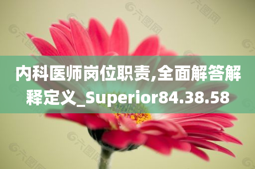 内科医师岗位职责,全面解答解释定义_Superior84.38.58