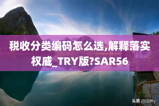 税收分类编码怎么选,解释落实权威_TRY版?SAR56