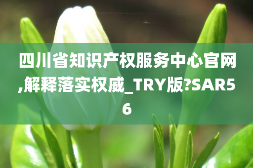 四川省知识产权服务中心官网,解释落实权威_TRY版?SAR56