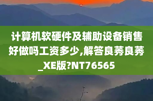 计算机软硬件及辅助设备销售好做吗工资多少,解答良莠良莠_XE版?NT76565