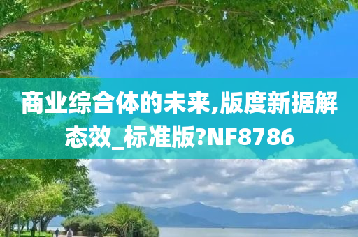 商业综合体的未来,版度新据解态效_标准版?NF8786