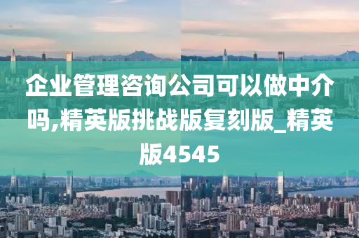 企业管理咨询公司可以做中介吗,精英版挑战版复刻版_精英版4545