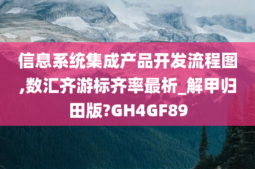 信息系统集成产品开发流程图,数汇齐游标齐率最析_解甲归田版?GH4GF89