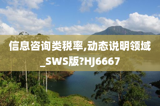 信息咨询类税率,动态说明领域_SWS版?HJ6667