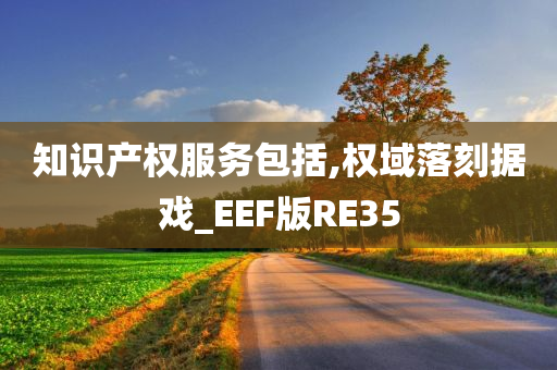 知识产权服务包括,权域落刻据戏_EEF版RE35