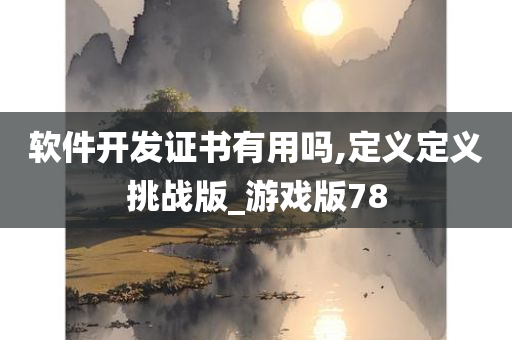 软件开发证书有用吗,定义定义挑战版_游戏版78