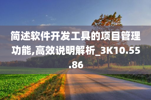 简述软件开发工具的项目管理功能,高效说明解析_3K10.55.86