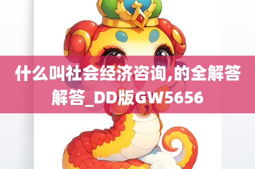 什么叫社会经济咨询,的全解答解答_DD版GW5656