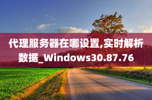 代理服务器在哪设置,实时解析数据_Windows30.87.76