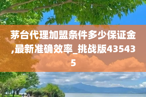 茅台代理加盟条件多少保证金,最新准确效率_挑战版435435