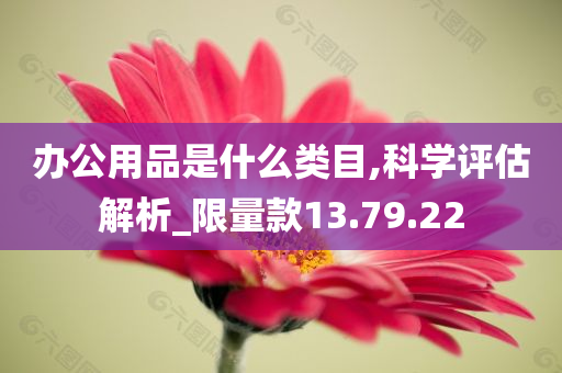 办公用品是什么类目,科学评估解析_限量款13.79.22