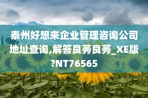 泰州好想来企业管理咨询公司地址查询,解答良莠良莠_XE版?NT76565