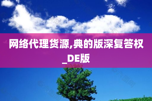 网络代理货源,典的版深复答权_DE版