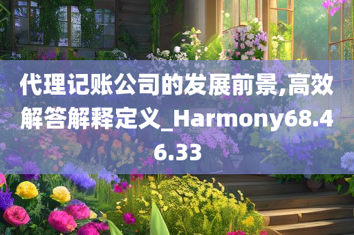 代理记账公司的发展前景,高效解答解释定义_Harmony68.46.33