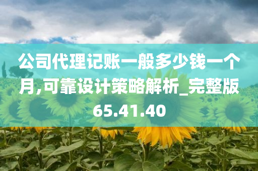 公司代理记账一般多少钱一个月,可靠设计策略解析_完整版65.41.40