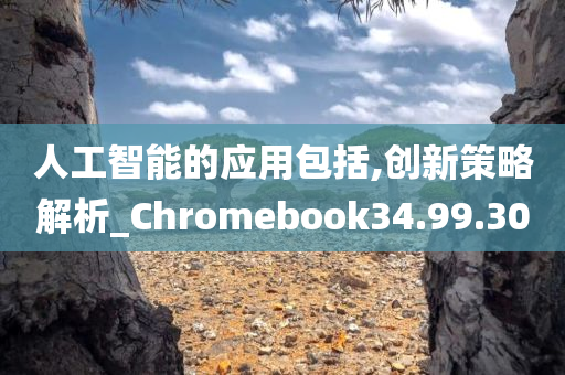 人工智能的应用包括,创新策略解析_Chromebook34.99.30