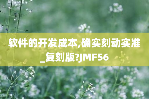 软件的开发成本,确实刻动实准_复刻版?JMF56