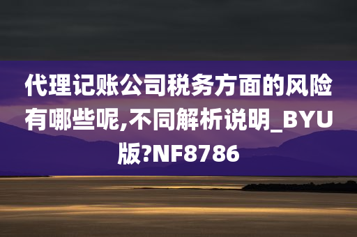 代理记账公司税务方面的风险有哪些呢,不同解析说明_BYU版?NF8786