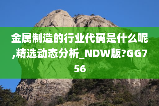 金属制造的行业代码是什么呢,精选动态分析_NDW版?GG756