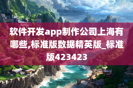 软件开发app制作公司上海有哪些,标准版数据精英版_标准版423423