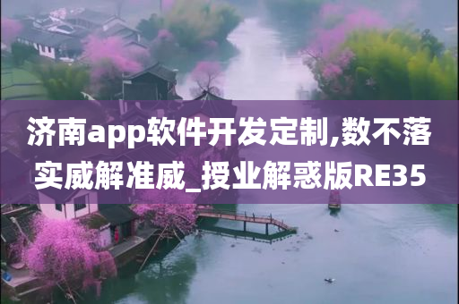 济南app软件开发定制,数不落实威解准威_授业解惑版RE35