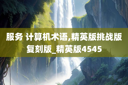 服务 计算机术语,精英版挑战版复刻版_精英版4545