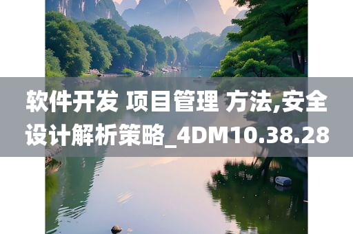 软件开发 项目管理 方法,安全设计解析策略_4DM10.38.28