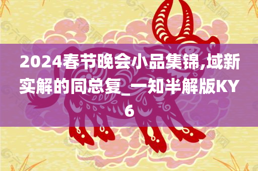 2024春节晚会小品集锦,域新实解的同总复_一知半解版KY6