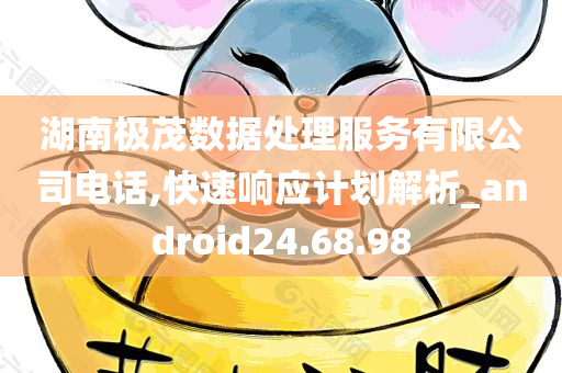 湖南极茂数据处理服务有限公司电话,快速响应计划解析_android24.68.98