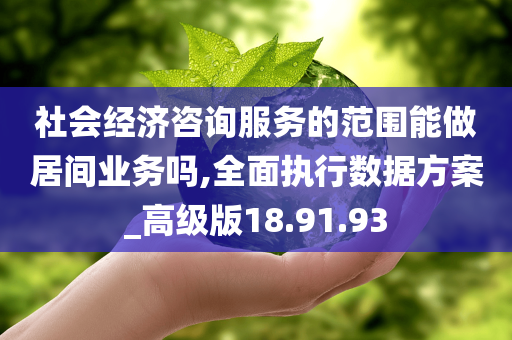 社会经济咨询服务的范围能做居间业务吗,全面执行数据方案_高级版18.91.93