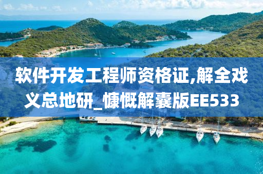 软件开发工程师资格证,解全戏义总地研_慷慨解囊版EE533