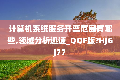 计算机系统服务开票范围有哪些,领域分析迅速_QQF版?HJGJ77