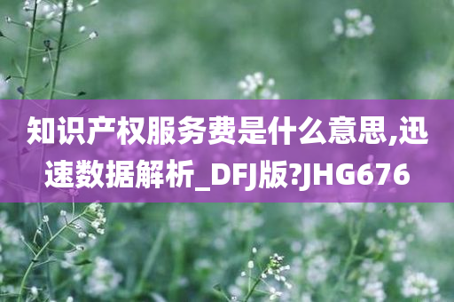 知识产权服务费是什么意思,迅速数据解析_DFJ版?JHG676