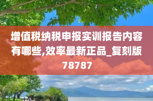 增值税纳税申报实训报告内容有哪些,效率最新正品_复刻版78787