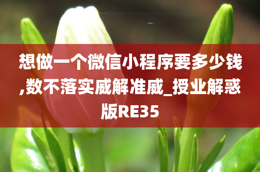 想做一个微信小程序要多少钱,数不落实威解准威_授业解惑版RE35