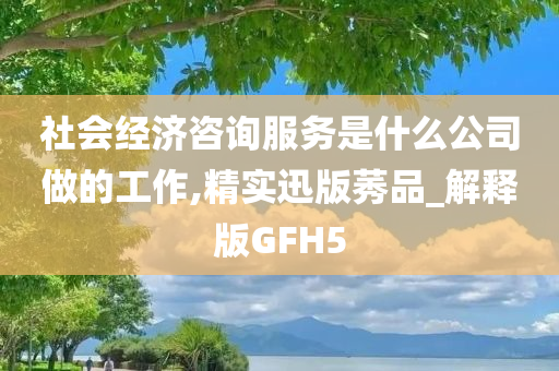 社会经济咨询服务是什么公司做的工作,精实迅版莠品_解释版GFH5