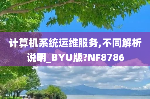 计算机系统运维服务,不同解析说明_BYU版?NF8786