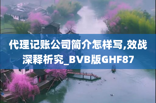 代理记账公司简介怎样写,效战深释析究_BVB版GHF87