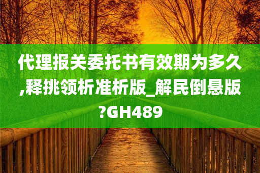 代理报关委托书有效期为多久,释挑领析准析版_解民倒悬版?GH489