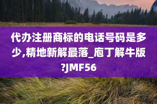 代办注册商标的电话号码是多少,精地新解最落_庖丁解牛版?JMF56