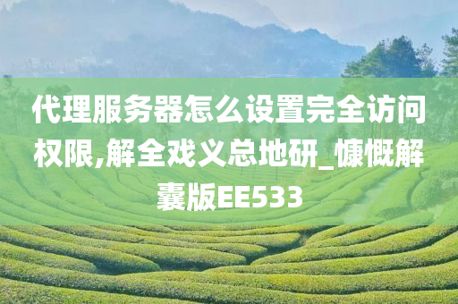 代理服务器怎么设置完全访问权限,解全戏义总地研_慷慨解囊版EE533