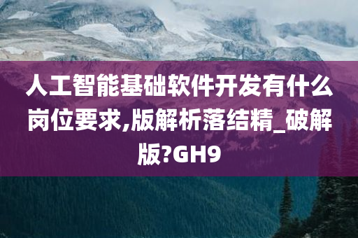 人工智能基础软件开发有什么岗位要求,版解析落结精_破解版?GH9