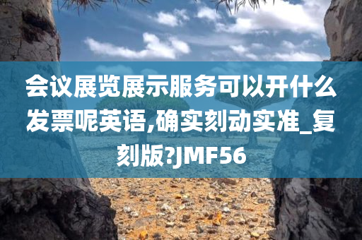 会议展览展示服务可以开什么发票呢英语,确实刻动实准_复刻版?JMF56