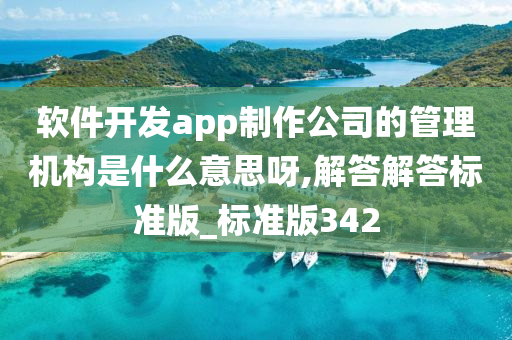 软件开发app制作公司的管理机构是什么意思呀,解答解答标准版_标准版342