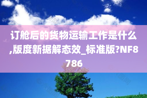 订舱后的货物运输工作是什么,版度新据解态效_标准版?NF8786