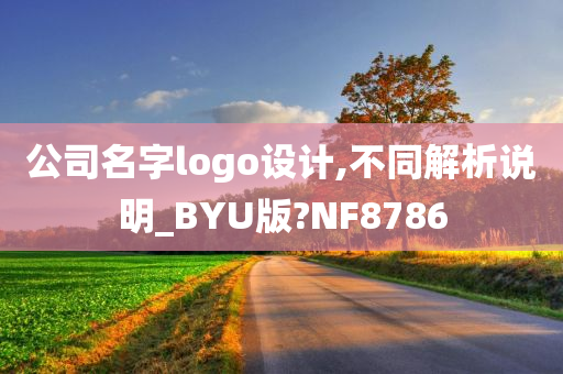 公司名字logo设计,不同解析说明_BYU版?NF8786